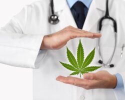Arzt hält Hände um ein Cannabis-Symbol