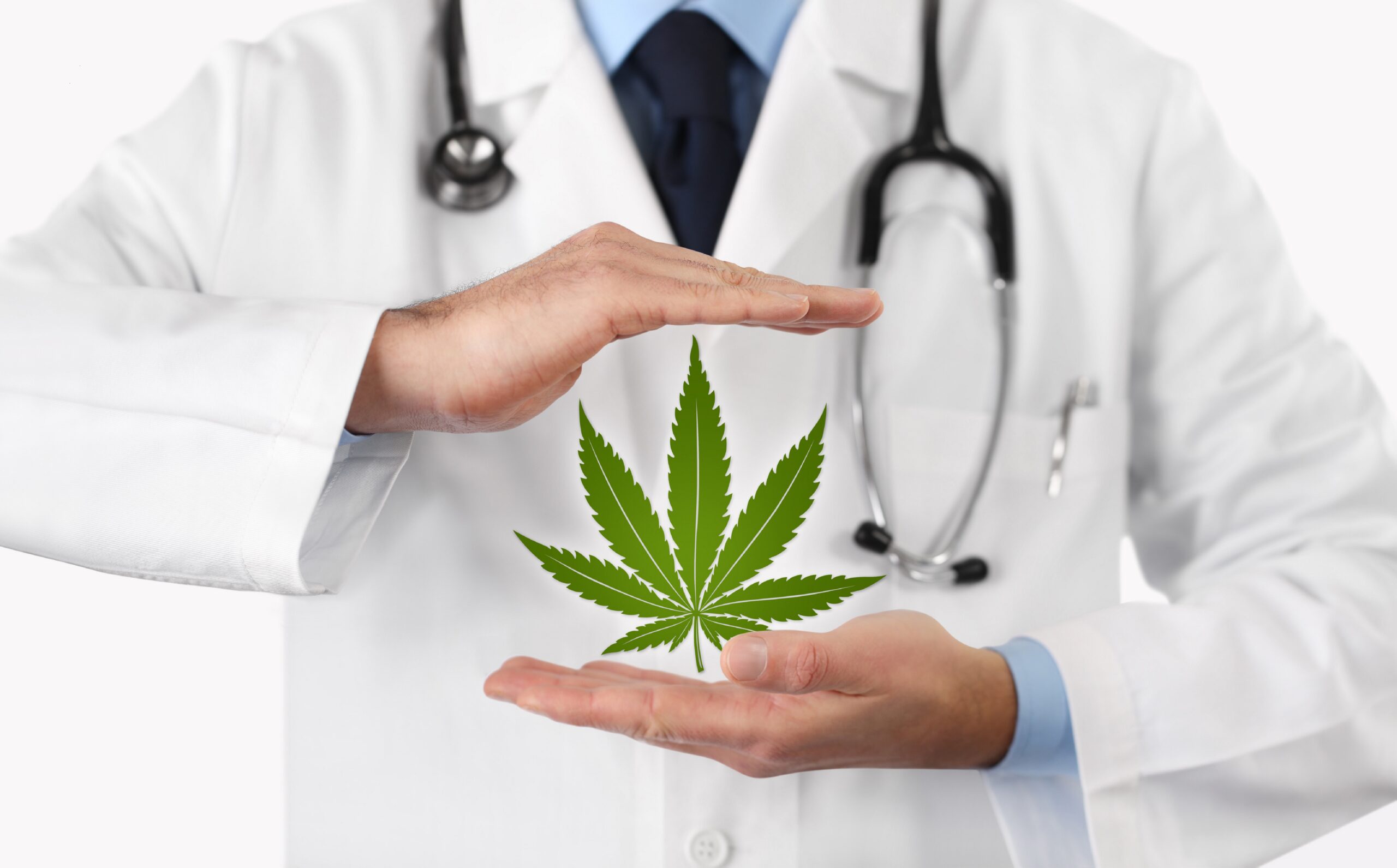 Cannabis Terpene zur Schmerztherapie Heilpraxis