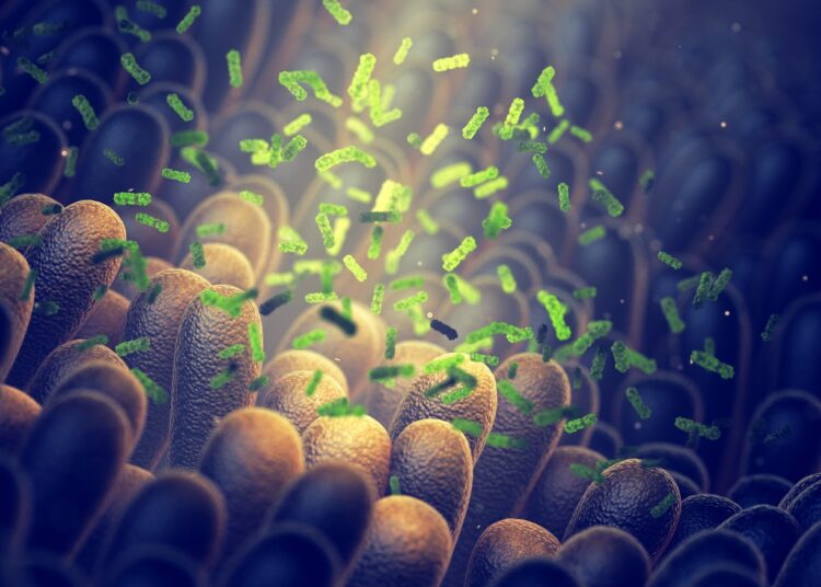 Listeriose – Ursachen, Symptome und Therapie – Heilpraxis