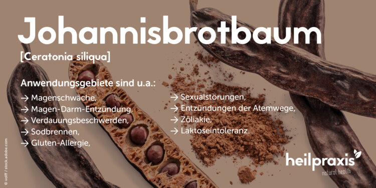 Eine Übersicht zu den Anwendungsgebieten des Johannisbrotbaumes.