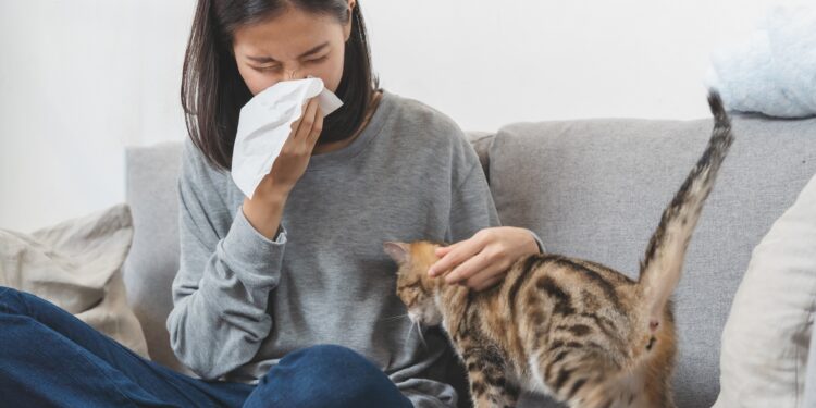 Frau mit Taschentuch vor dem Gesicht sitzt auf dem Sofa und streichelt eine Katze