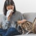 Frau mit Taschentuch vor dem Gesicht sitzt auf dem Sofa und streichelt eine Katze