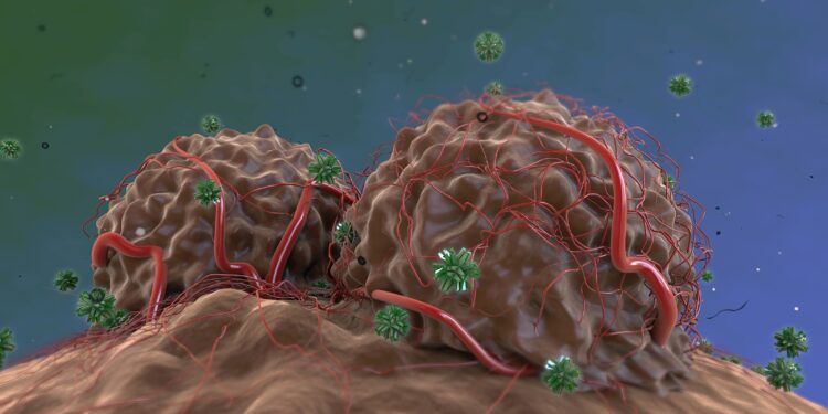 Grafik: Antikörper greifen stark durchblutete Tumore an.