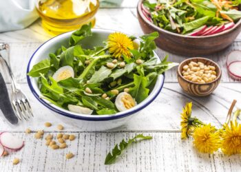 Frischer Löwenzahnsalat in einer Schüssel