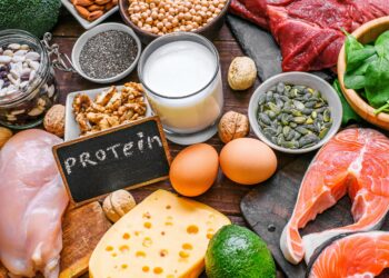 Verschiedene eiweißreiche Lebensmittel und ein Schild mit der Aufschrift Protein