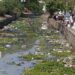 Verschmutzter Fluss in Stadt.