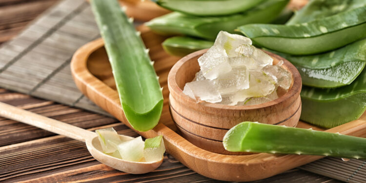 Aufgeschnittene Aloe vera mit Gel