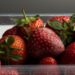 Eine schimmlige Erdbeere liegt zwischen normalen Erdbeeren.
