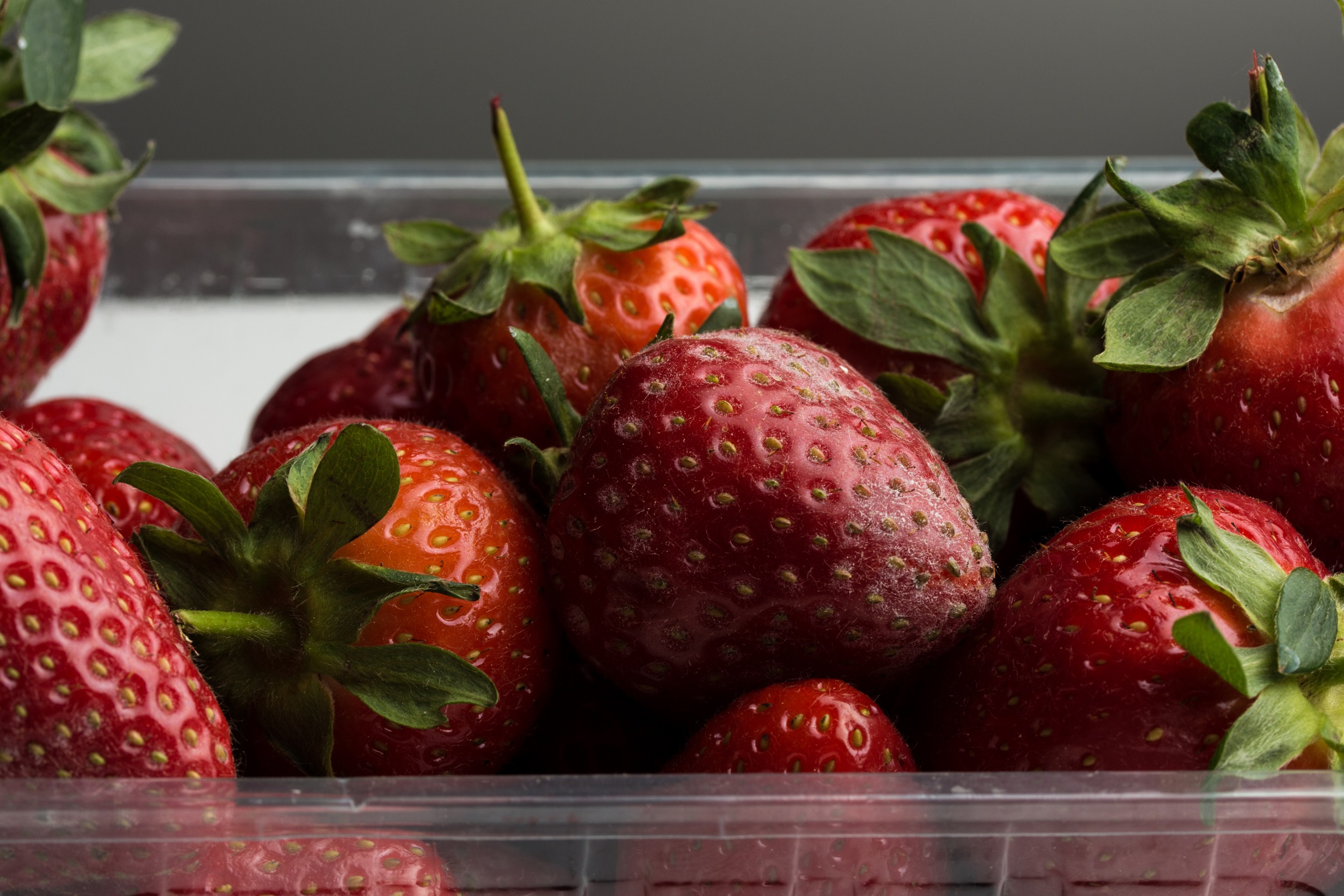 Wie-bleibt-Obst-und-Gem-se-m-glichst-lange-frisch-