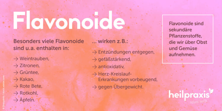 Übersicht über die wichtigsten Wirkungen von Flavonoiden und Nahrungsmittel, die Flavonoide enthalten