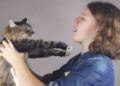 Bei der Katzenhaarallergie überreagiert das Immunsystem auf bestimme Eiweiße, welche die Katze zum Beispiel über Urin und Speichel absondert. (Bild: daylight917/stock.adobe.com)