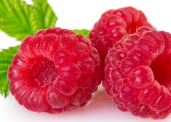 Drei Himbeeren und einige Himbeerblätter vor weißem Hintergrund