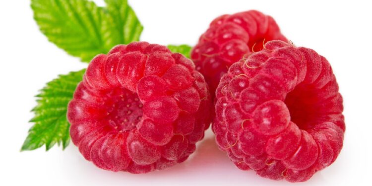 Drei Himbeeren und einige Himbeerblätter vor weißem Hintergrund