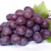 Rote Weintrauben vor weißem Hintergrund