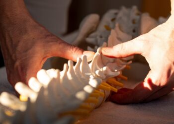 Mann hält Modell einer menschlichen Wirbelsäule in den Händen