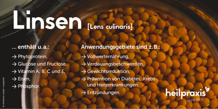 Übersicht der wichtigsten Inhaltsstoffe und Anwendungsgebiete von Linsen Lens culinaris
