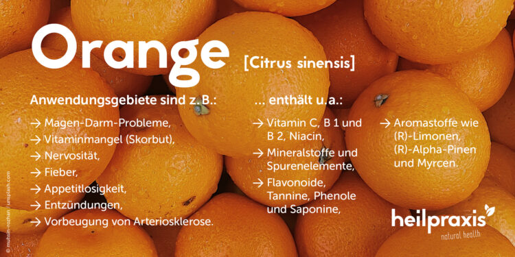 Übersicht der wichtigsten Inhaltsstoffe und Anwendungsgebiete von Orange