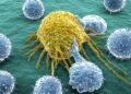 Immunsystem stärken kind 6 jahre - Vertrauen Sie dem Testsieger der Experten