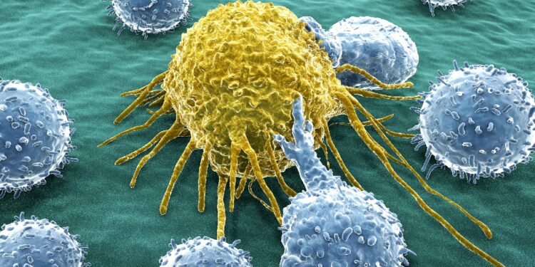 T-Zellen greifen eine Krebszelle an.