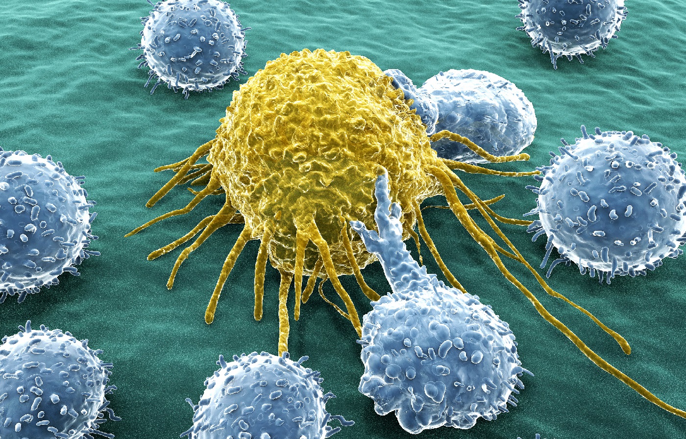 Magnesium wappnet Immunsystem gegen Krebs und Krankheitserreger