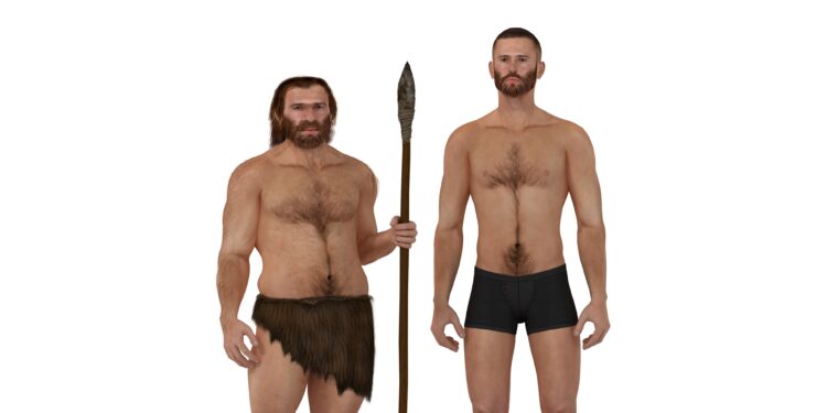 Grafische Darstellung: Optischer Vergleich zwischen einem Neandertaler und einem modernen Menschen.