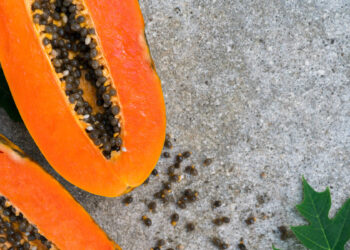 Die Kerne im Inneren der Papaya enthalten das wichtige Enzym Papin, das die Verdauung unterstützt. (Bild: Anna/stock.adobe.com)