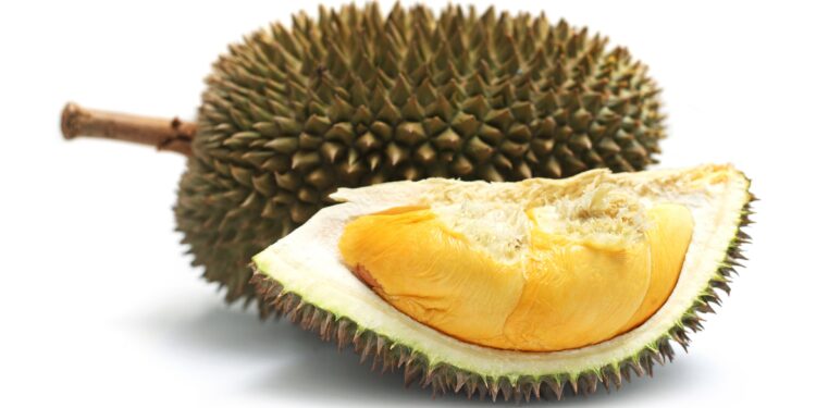 Eine ganze und eine halbe Durianfrucht vor weißem Hintergrund