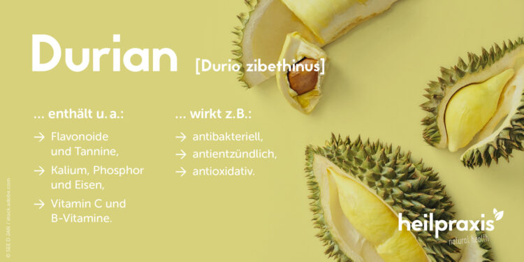 Wichtige Inhaltsstoffe und Wirkungen von Durian in der Übersicht