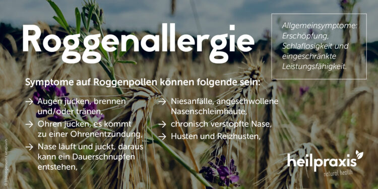 Symptome einer Roggenpollenalergie