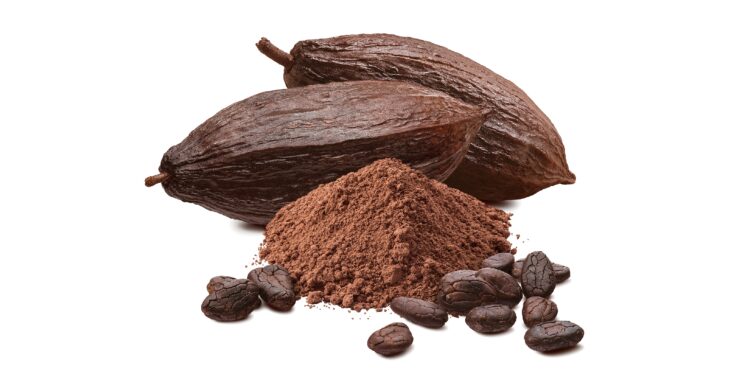 Eine Kakao-Bohne und Kakao-Pulver vor weißem Hintergrund.