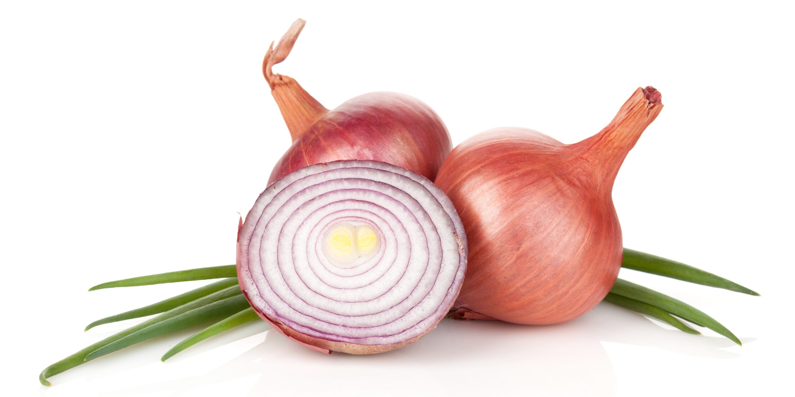 Zwiebel – Inhaltsstoffe, Wirkung und Anwendung – Heilpraxis