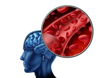 Digitale Darstellung eines Blutgefäßes und eines Gehirns.