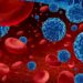 Darstellung von Krebszellen im Blut