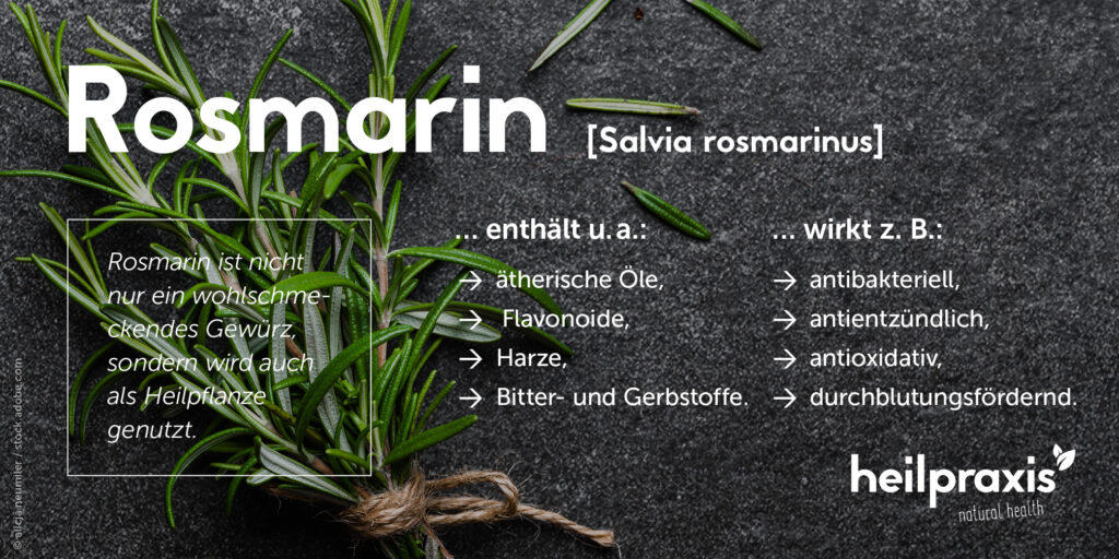 Rosmarin Inhaltsstoffe, Wirkung und Anwendung Heilpraxis