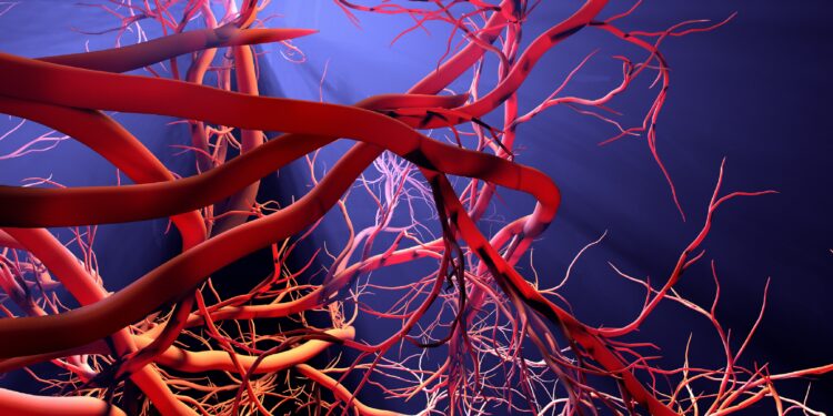 Illustration von der Bildung neuer Blutgefäße