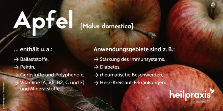 Übersicht der wichtigsten Inhaltsstoffe und Anwendungsgebiete des Apfels