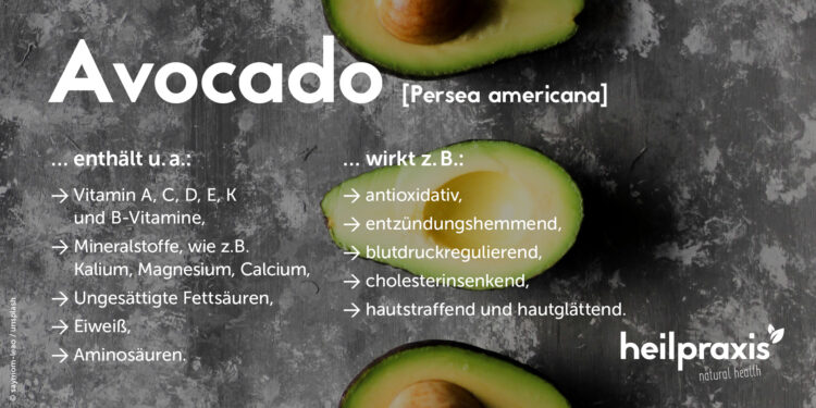 Übersicht der wichtigsten Inhaltsstoffe und Wirkungen von Avocado