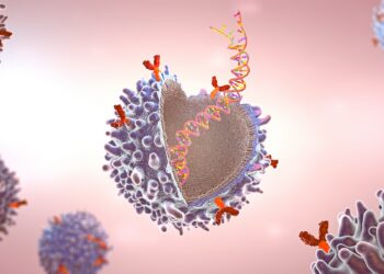 Grafische Darstellung einer Immunzelle mit Rezeptoren und mRNA-Strang.
