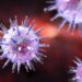 3D-Illustration des Epstein-Barr-Virus