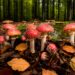 Fliegenpilze in einem Wald