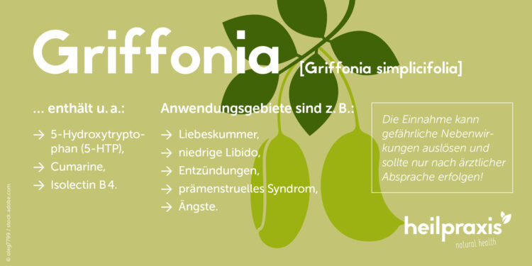 Übersicht der wichtigsten Inhaltsstoffe und Anwendungsgebiete von Griffonia