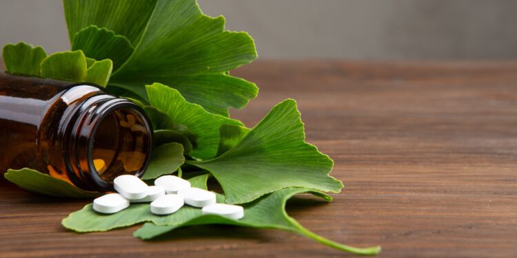 Einige Tabletten liegen auf Blättern des Gingko-Baumes.