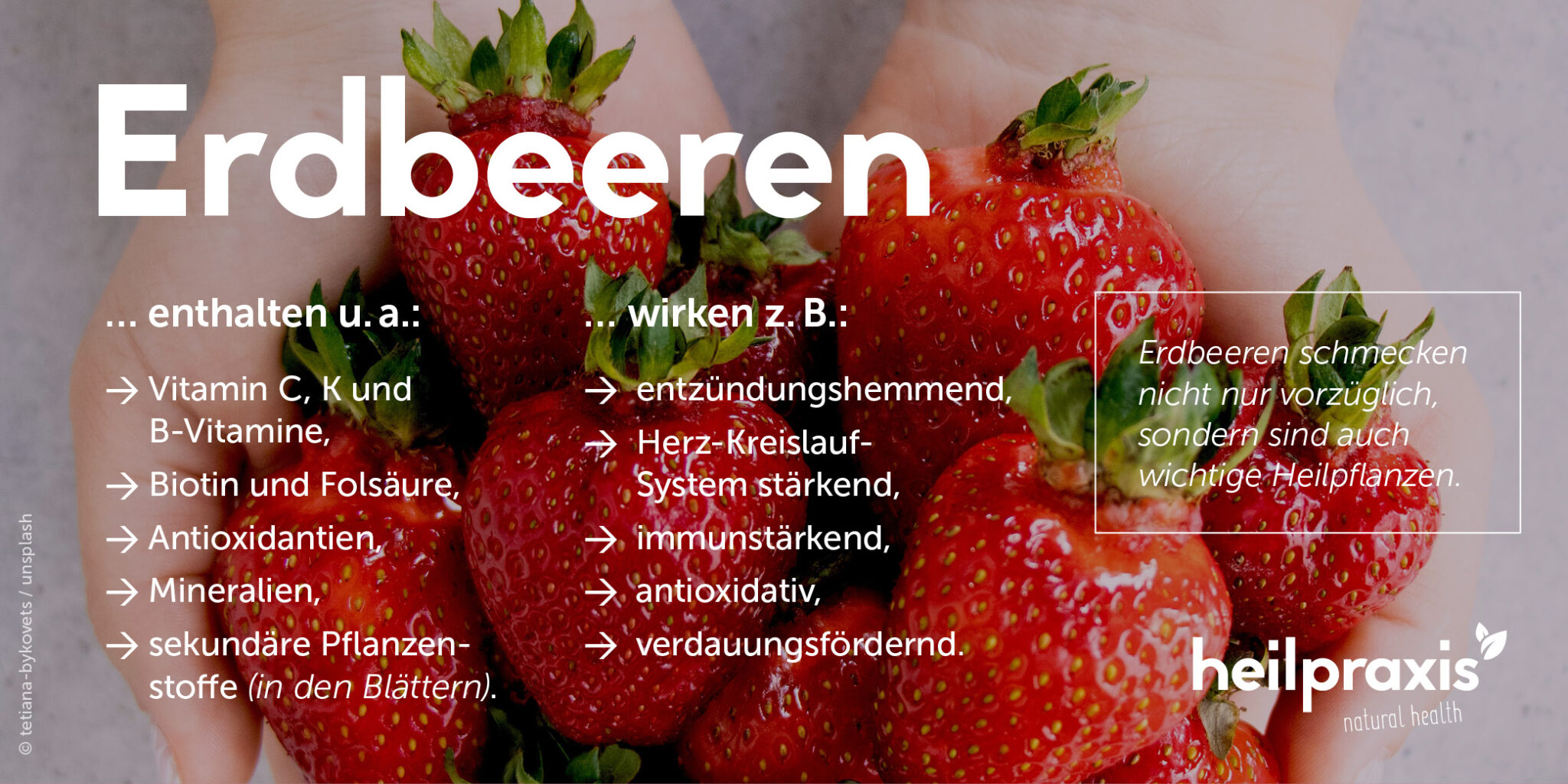 Erdbeeren Inhaltsstoffe, Anwendungen und Mythologie Heilpraxis