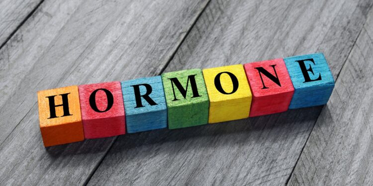 Farbige Würfel bilden das Wort "Hormone".