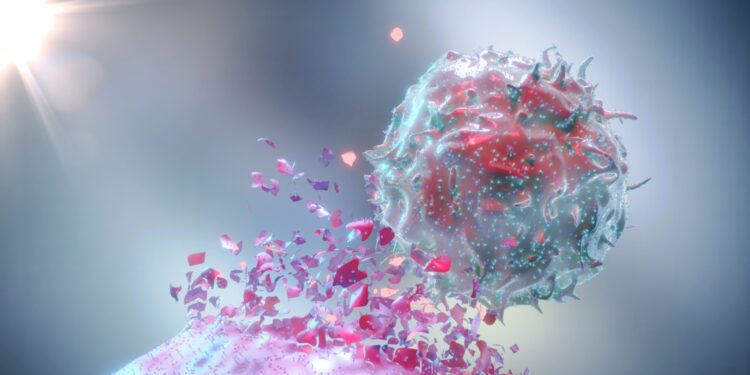 Grafische Darstellung einer T-Zelle, die eine andere Zelle angreift.