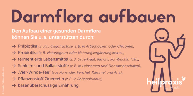 Übersicht darüber, wie wir unsere Darmflora stärken können, vor allem über die Auswahl unserer Nahrungsmittel und Getränke