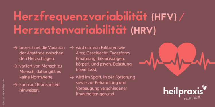 Übersicht der wichtigsten Fakten zur Herzfrequenzvariabilität, auch Herzratenvariabilität genannt