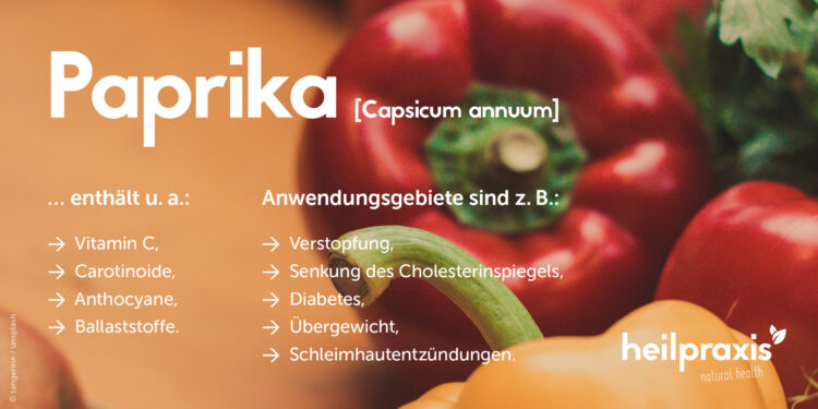 Übersicht der wichtigsten Inhaltsstoffe und Anwendungsgebiete von Paprika