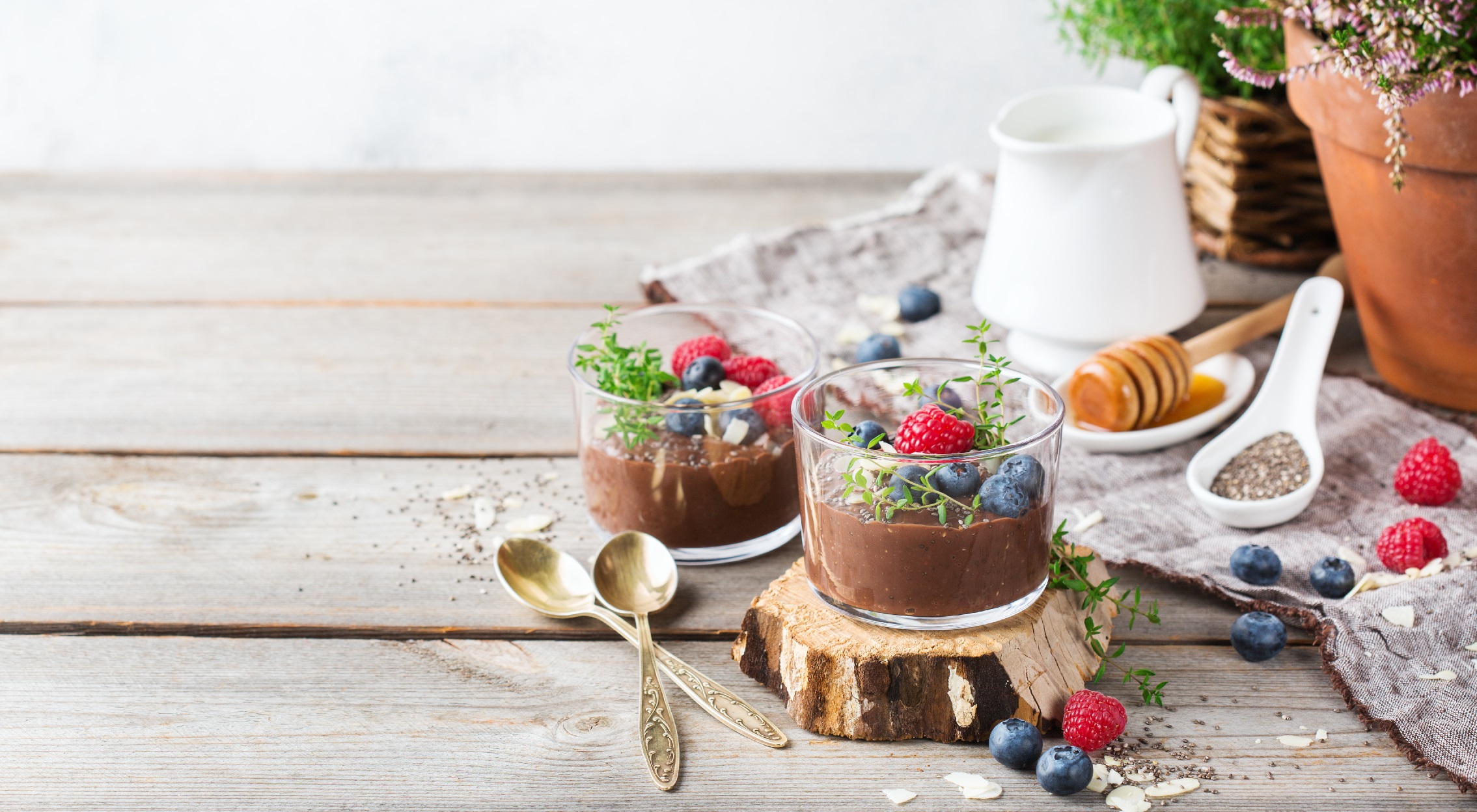 Gesunder Schokoladen-Chia-Pudding ohne Zucker – Heilpraxis