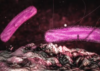 Grafische Darstellung des Bakteriums Klebsiella pneumoniae.